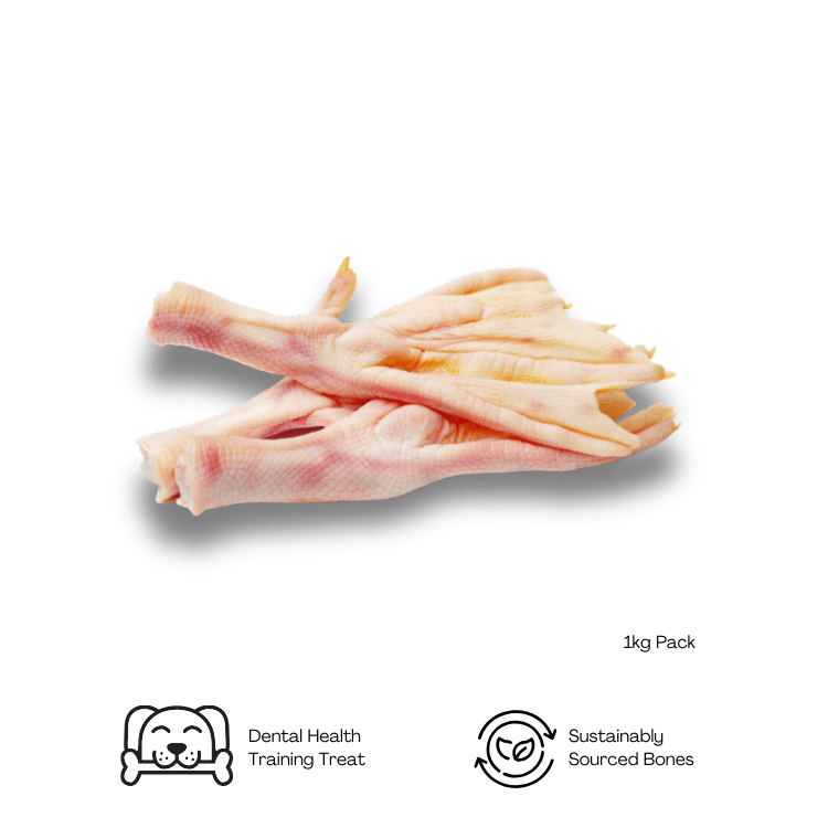 Free Range Duck Feet - howlerpetfoods