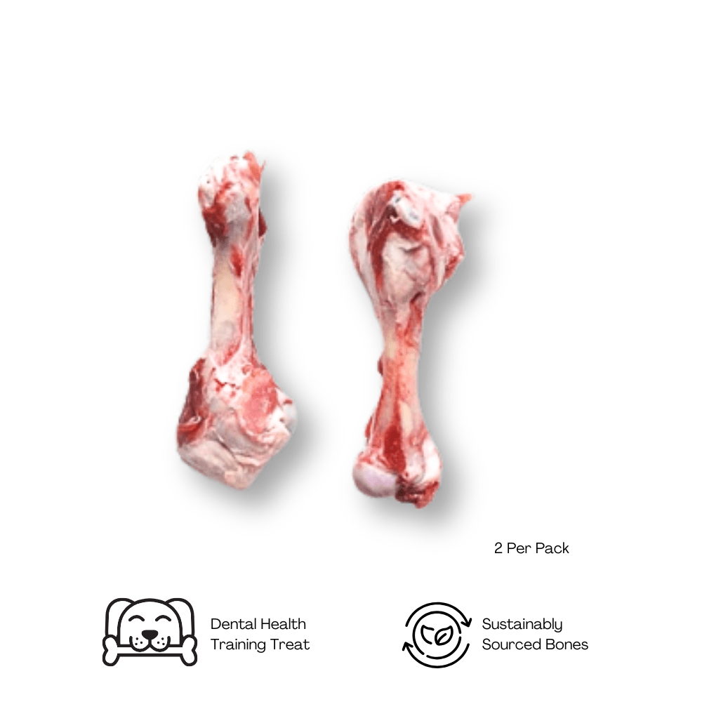 Premium Lamb Marrow Bones - howlerpetfoods