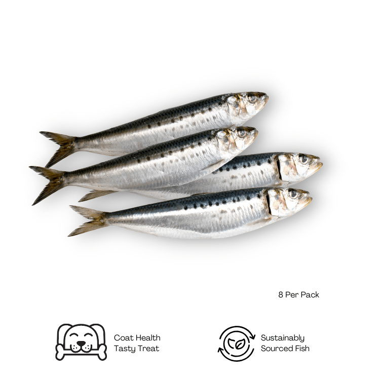 Raw Whole Sardines - howlerpetfoods