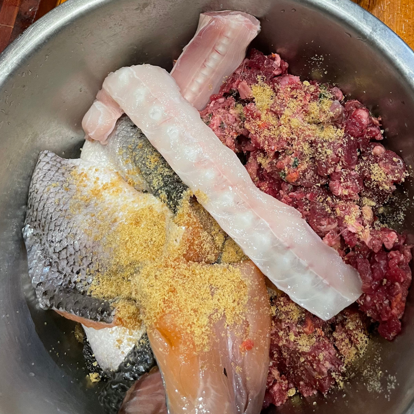 Wild Omega Wellness 100g - howlerpetfoods