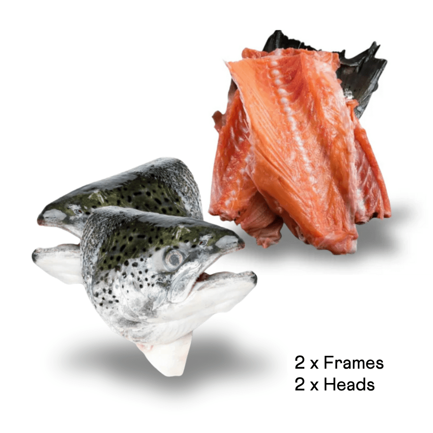 Wild Salmon Pack - howlerpetfoods